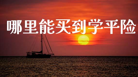 哪里能买到学平险_https://www.lcjysmgs.com_恒指直播平台_第1张