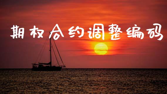 期权合约调整编码_https://www.lcjysmgs.com_恒指直播平台_第1张