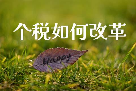 个税如何改革_https://www.lcjysmgs.com_德指行情直播_第1张
