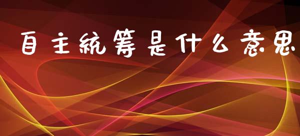 自主统筹是什么意思_https://www.lcjysmgs.com_黄金期货直播喊单_第1张