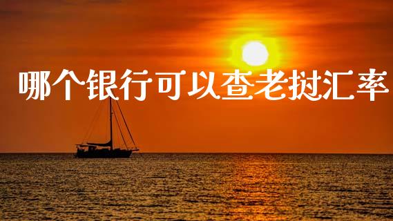 哪个银行可以查老挝汇率_https://www.lcjysmgs.com_黄金期货直播喊单_第1张