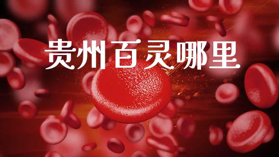 贵州百灵哪里_https://www.lcjysmgs.com_恒生指数直播_第1张