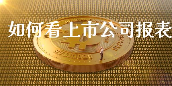 如何看上市公司报表_https://www.lcjysmgs.com_恒指直播平台_第1张