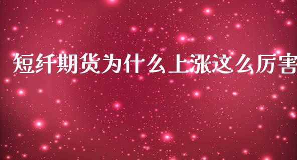 短纤期货为什么上涨这么厉害_https://www.lcjysmgs.com_德指行情直播_第1张