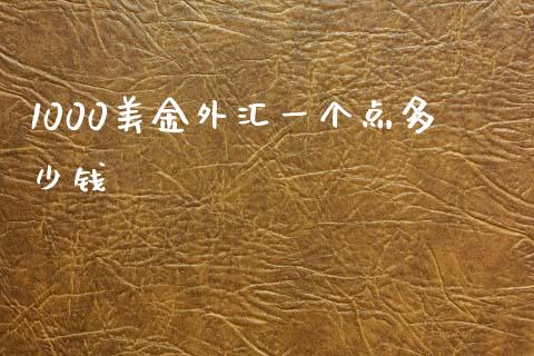 1000美金外汇一个点多少钱_https://www.lcjysmgs.com_恒指直播平台_第1张