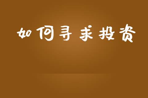 如何寻求投资_https://www.lcjysmgs.com_黄金期货直播喊单_第1张
