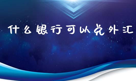 什么银行可以兑外汇_https://www.lcjysmgs.com_德指行情直播_第1张