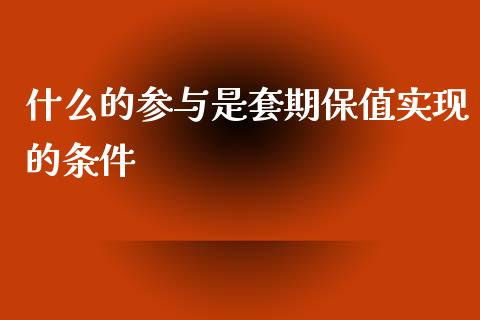 什么的参与是套期保值实现的条件_https://www.lcjysmgs.com_恒指直播平台_第1张