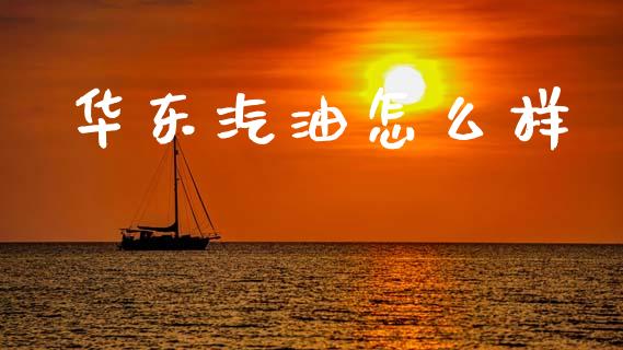 华东汽油怎么样_https://www.lcjysmgs.com_恒生指数直播_第1张