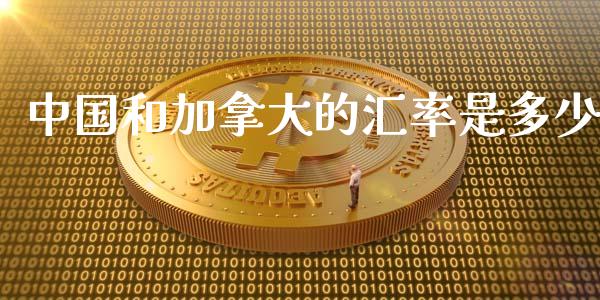 中国和加拿大的汇率是多少_https://www.lcjysmgs.com_恒指直播平台_第1张