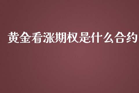 黄金看涨期权是什么合约_https://www.lcjysmgs.com_恒指直播平台_第1张