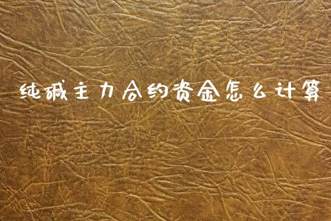 纯碱主力合约资金怎么计算_https://www.lcjysmgs.com_黄金期货直播喊单_第1张