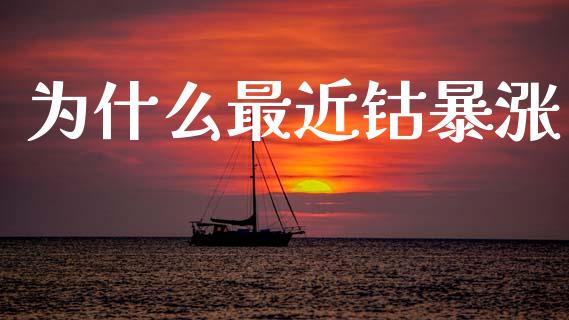 为什么最近钴暴涨_https://www.lcjysmgs.com_恒生指数直播_第1张