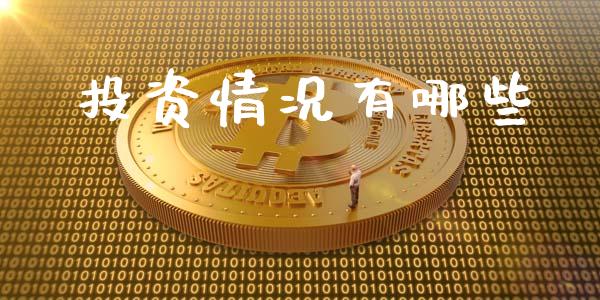 投资情况有哪些_https://www.lcjysmgs.com_德指行情直播_第1张