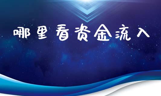 哪里看资金流入_https://www.lcjysmgs.com_德指行情直播_第1张