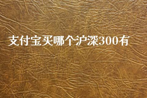 支付宝买哪个沪深300有_https://www.lcjysmgs.com_恒生指数直播_第1张