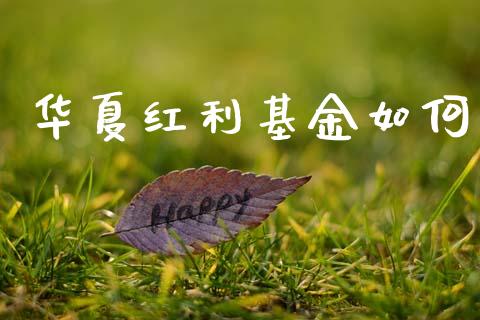 华夏红利基金如何_https://www.lcjysmgs.com_恒生指数直播_第1张