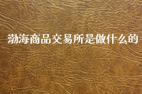 渤海商品交易所是做什么的_https://www.lcjysmgs.com_黄金期货直播喊单_第1张