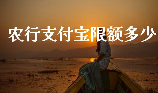 农行支付宝限额多少_https://www.lcjysmgs.com_恒指直播平台_第1张