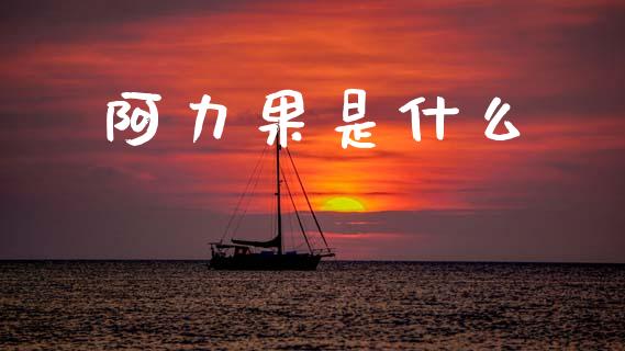 阿力果是什么_https://www.lcjysmgs.com_德指行情直播_第1张