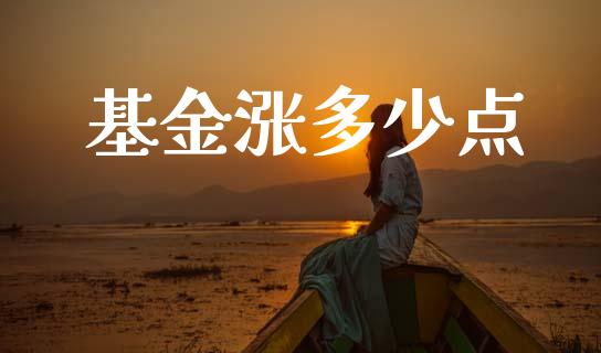 基金涨多少点_https://www.lcjysmgs.com_黄金期货直播喊单_第1张