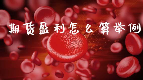 期货盈利怎么算举例_https://www.lcjysmgs.com_德指行情直播_第1张