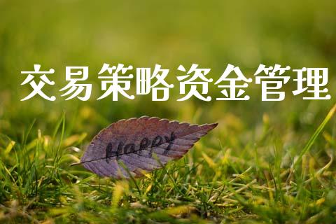 交易策略资金管理_https://www.lcjysmgs.com_黄金期货直播喊单_第1张