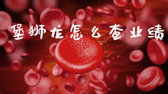 堡狮龙怎么查业绩_https://www.lcjysmgs.com_恒指直播平台_第1张