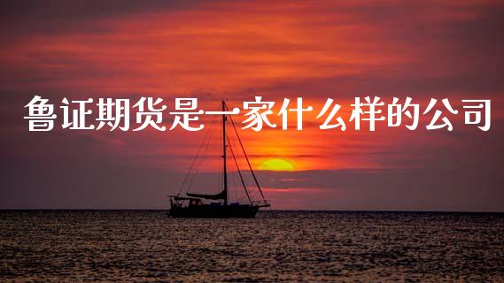鲁证期货是一家什么样的公司_https://www.lcjysmgs.com_德指行情直播_第1张