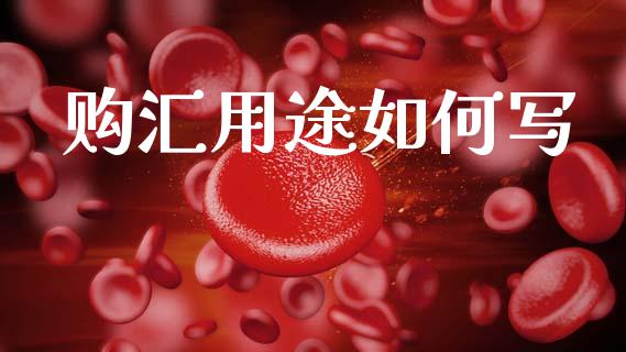 购汇用途如何写_https://www.lcjysmgs.com_黄金期货直播喊单_第1张