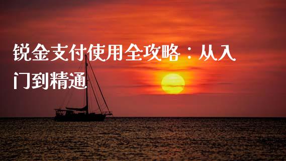 锐金支付使用全攻略：从入门到精通_https://www.lcjysmgs.com_德指行情直播_第1张
