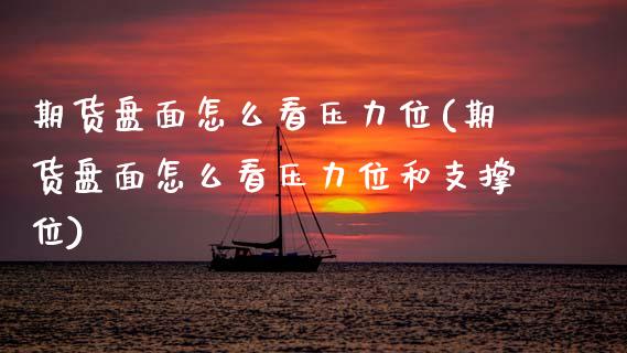期货盘面怎么看压力位(期货盘面怎么看压力位和支撑位)_https://www.lcjysmgs.com_黄金期货直播喊单_第1张