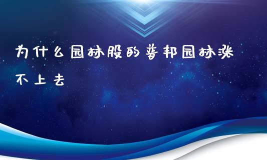 为什么园林股的普邦园林涨不上去_https://www.lcjysmgs.com_恒生指数直播_第1张