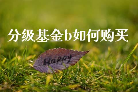 分级基金b如何购买_https://www.lcjysmgs.com_恒生指数直播_第1张