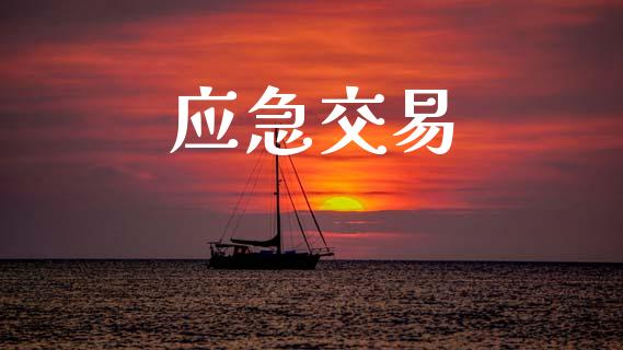 应急交易_https://www.lcjysmgs.com_恒生指数直播_第1张
