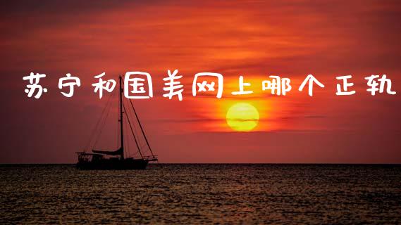 苏宁和国美网上哪个正轨_https://www.lcjysmgs.com_德指行情直播_第1张
