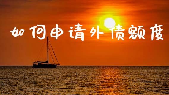 如何申请外债额度_https://www.lcjysmgs.com_黄金期货直播喊单_第1张