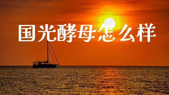 国光酵母怎么样_https://www.lcjysmgs.com_黄金期货直播喊单_第1张