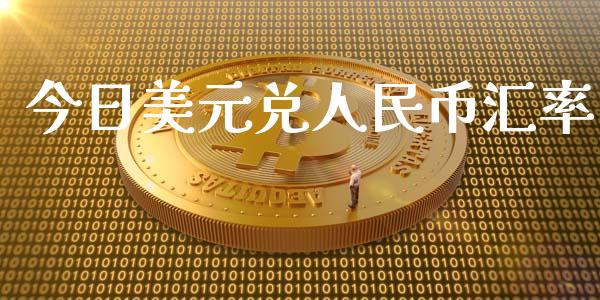 今日美元兑人民币汇率_https://www.lcjysmgs.com_黄金期货直播喊单_第1张