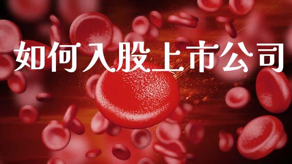 如何入股上市公司_https://www.lcjysmgs.com_黄金期货直播喊单_第1张