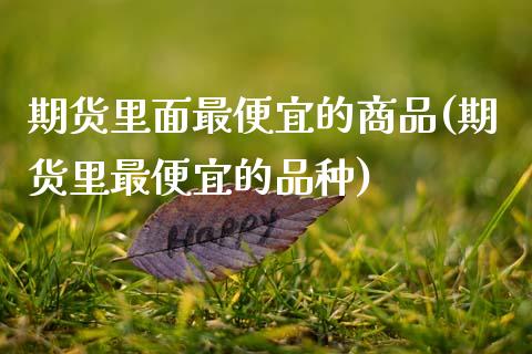 期货里面最便宜的商品(期货里最便宜的品种)_https://www.lcjysmgs.com_黄金期货直播喊单_第1张