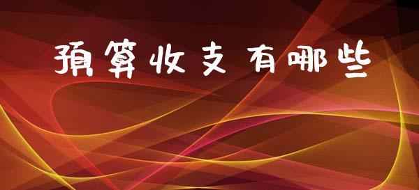 预算收支有哪些_https://www.lcjysmgs.com_黄金期货直播喊单_第1张