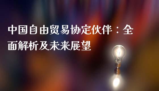 中国自由贸易协定伙伴：全面解析及未来展望_https://www.lcjysmgs.com_恒生指数直播_第1张