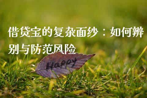 借贷宝的复杂面纱：如何辨别与防范风险_https://www.lcjysmgs.com_恒生指数直播_第1张