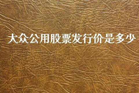 大众公用股票发行价是多少_https://www.lcjysmgs.com_恒指直播平台_第1张