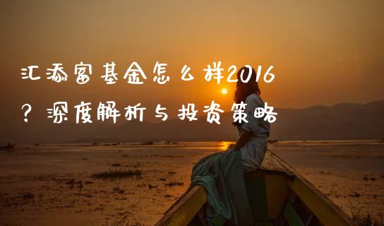 汇添富基金怎么样2016？深度解析与投资策略_https://www.lcjysmgs.com_黄金期货直播喊单_第1张