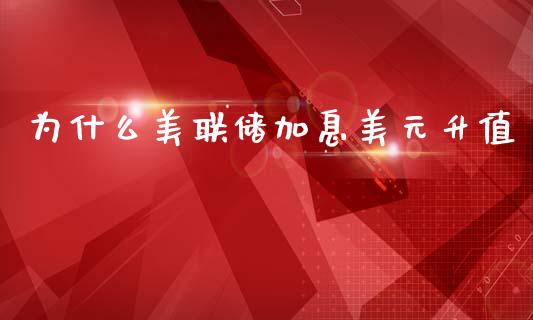 为什么美联储加息美元升值_https://www.lcjysmgs.com_德指行情直播_第1张