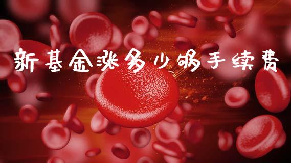 新基金涨多少够手续费_https://www.lcjysmgs.com_恒指直播平台_第1张