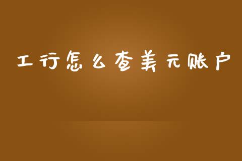 工行怎么查美元账户_https://www.lcjysmgs.com_德指行情直播_第1张