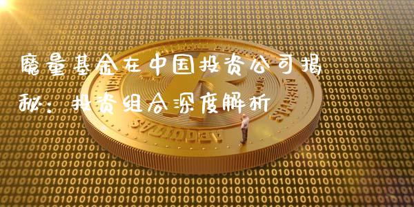 魔量基金在中国投资公司揭秘：投资组合深度解析_https://www.lcjysmgs.com_恒生指数直播_第1张